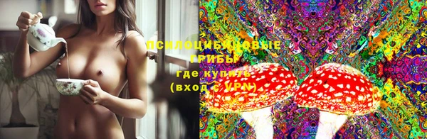 меф Горнозаводск
