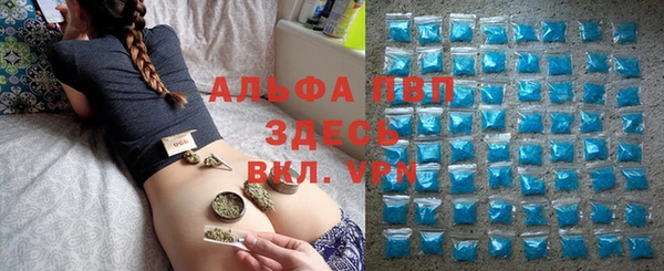 Альфа ПВП Горно-Алтайск