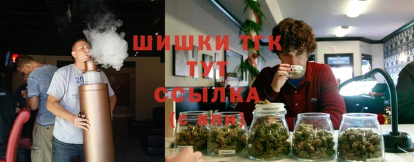 Альфа ПВП Горно-Алтайск