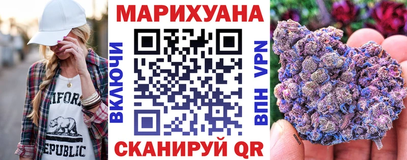 Купить где  Онега  Бошки Шишки семена 